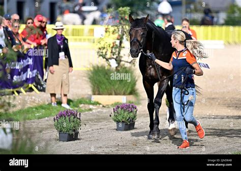 dinja van liere stables.